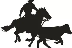Shadow03_Shadow-cowboy