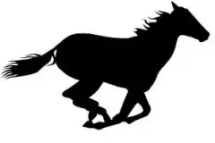 Shadow12_Runninghorse