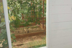 window-replacement-6