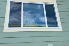 window-replacement-8